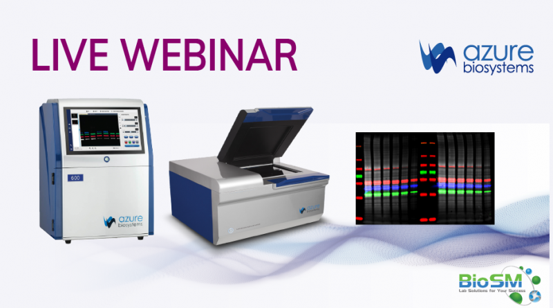 Bands to Data What we do to get Quantitative Western Blot - Info ...