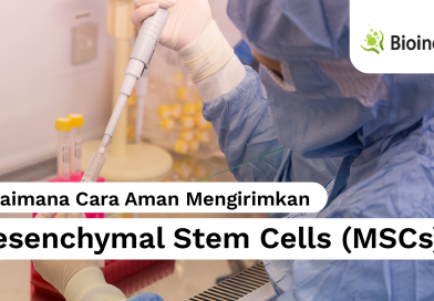 Mengirimkan Mesenchymal Stem Cells (MSCs)