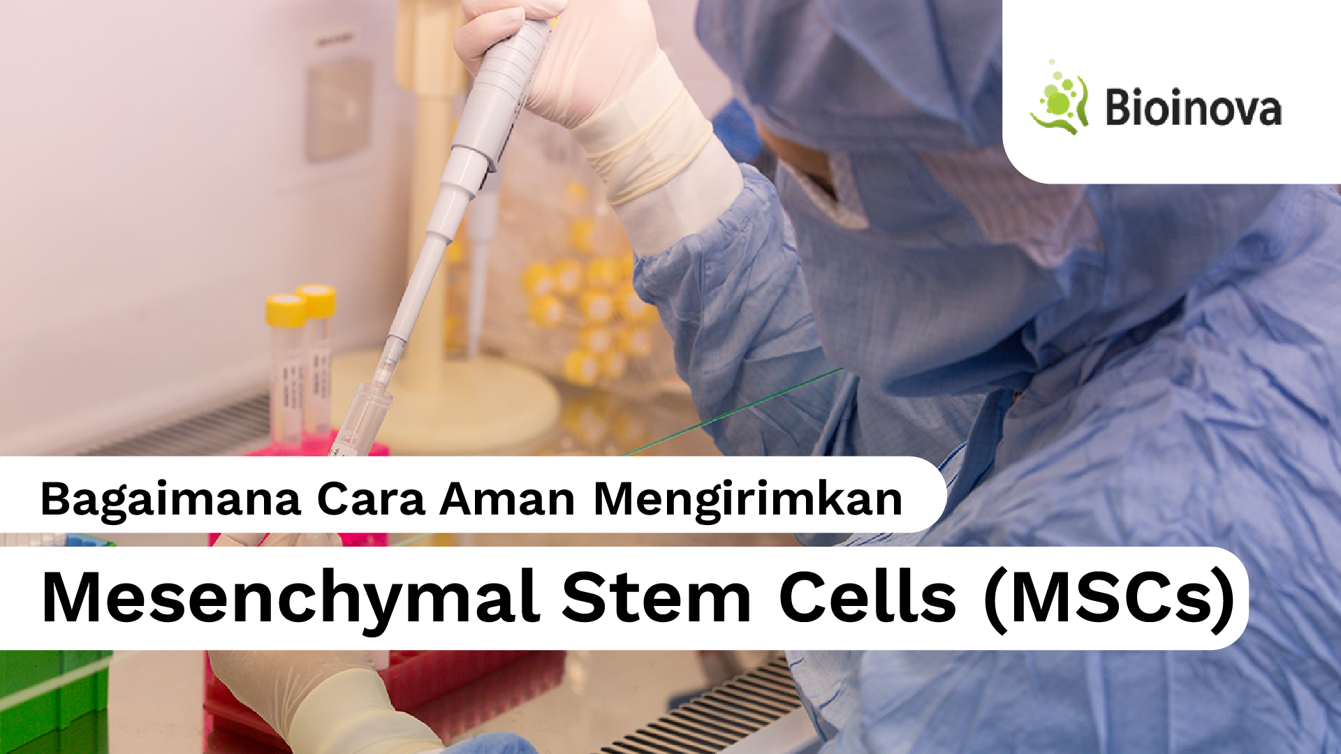 Mengirimkan Mesenchymal Stem Cells (MSCs)